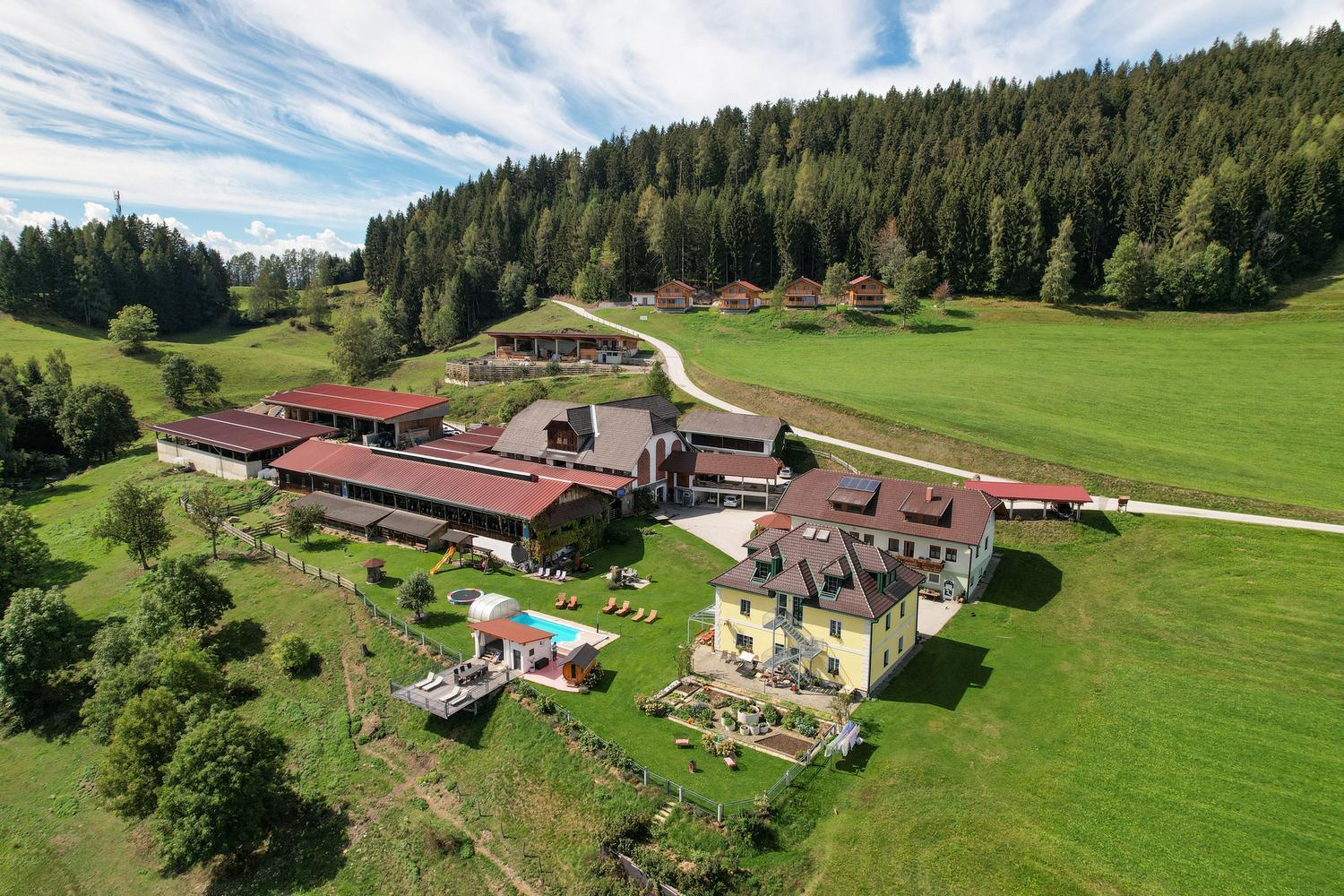 Erlebnisbauernhof Steinerhof In Kaernten Liebenfels Extérieur photo